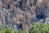 V Českém Švýcarsku zbývá dohasit 50 hektarů. Drony našly menší ohniska