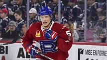 David Sklenička nebude na svou misi v AHL vzpomínat zrovna nejlépe. Po dvou sezonách se stěhoval zpět do Evropy.
