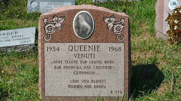 Navždy tě budeme milovat, Queenie. Maminka a tatínek. I to se píše na jednom z náhrobků.