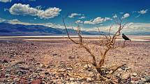 Americké Údolí smrti je co se týče teploty vzduchu nejteplejším místem na Zemi. Navzdory extrémním teplotám ale v oblasti trvale žije několik stovek lidí, různé druhy hmyzu či plazů a ještěrek.