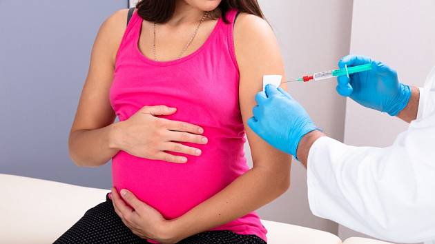 Vakcinologové upozorňují, že těhotné nejsou proti ženám ve stejném věku nákazou více ohroženy, mohou mít ale horší průběh nemoci.