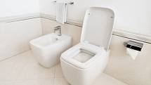 Stále oblíbenější je instalace toalety a bidetu. Počítejte však s tím, že potřebují daleko více místa než samostatné WC.