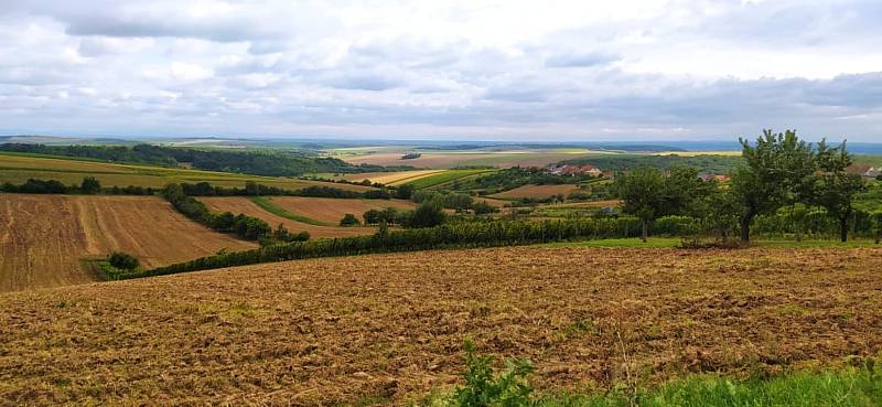 Malebné sklepy lákají návštěvníky ve Vrbici k procházce