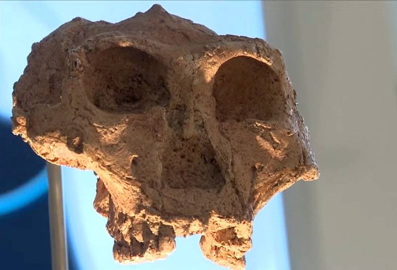 Zřejmě nejstarší lebeční fragment druhu Homo sapiens byl nalezen vedle lebky neandrtálce