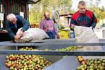 Ovoce dovezené do palírny se nejprve musí zvážit. Pak se vysype do zásobníků, odkud putuje do myčky