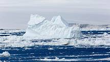Ledové kry v Antarktidě