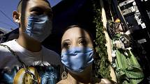 Virus prasečí chřipky se podle prohlášení šéfky Světové zdravotnické organizace Margaret Chanové zatím ukazuje jako stabilní a nic nesvědčí o tom, že by docházelo k jeho mutaci s virem ptačí chřipky.