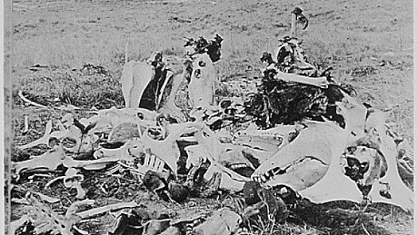 Místo posledního odporu generála Custera při pohledu směrem k brodu a k indiánské vesnici. Na bitevním poli zůstala ležet jen hromada kostí. Little Big Horn, asi rok 1877