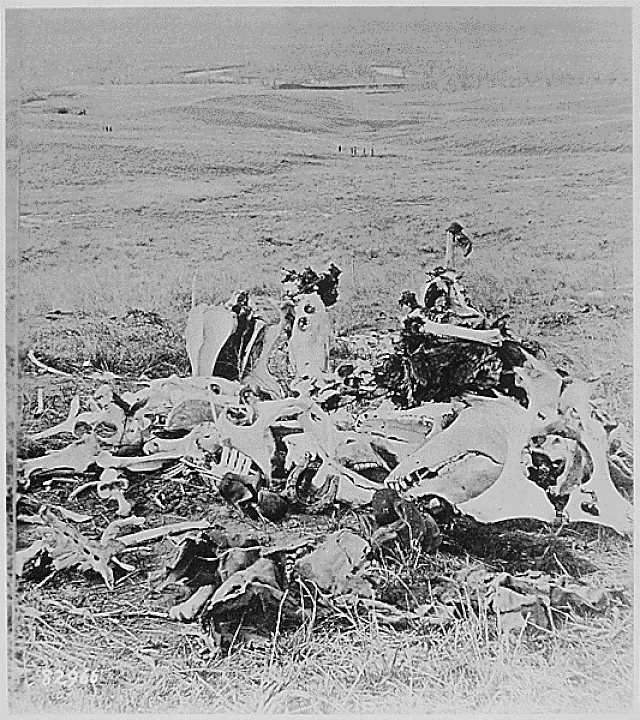 Místo posledního odporu generála Custera při pohledu směrem k brodu a indiánské vesnici. Zbyla jen hromada kostí na bitevním poli. Little Bighorn, asi rok 1877
