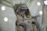 Jedno ze dvou údajných mimozemských těl, která veřejnosti představil novinář a ufolog Jaime Maussan