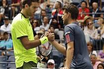 JUAN MARTÍN DEL POTRO, DOMINIC THIEM