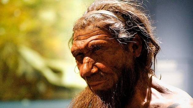 Neandertálský rybář v umělecké rekonstrukci Paula Hudsona
