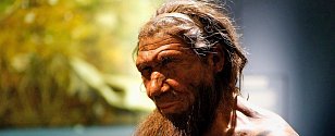 Neandertálský rybář v umělecké rekonstrukci Paula Hudsona