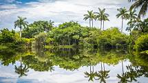 Pravou tropickou atmosféru lze poznat ve Fairchild Garden v americké Floridě.