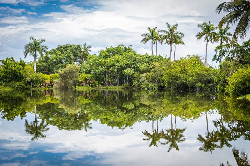 Pravou tropickou atmosféru lze poznat ve Fairchild Garden v americké Floridě.