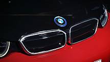 Příklady tvarů ledvinek vozů BMW