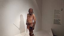 Rekonstruovaný Ötzi z dílny Kennis Brothers, jak je vystaven v Ötziho muzeu v Bolzanu