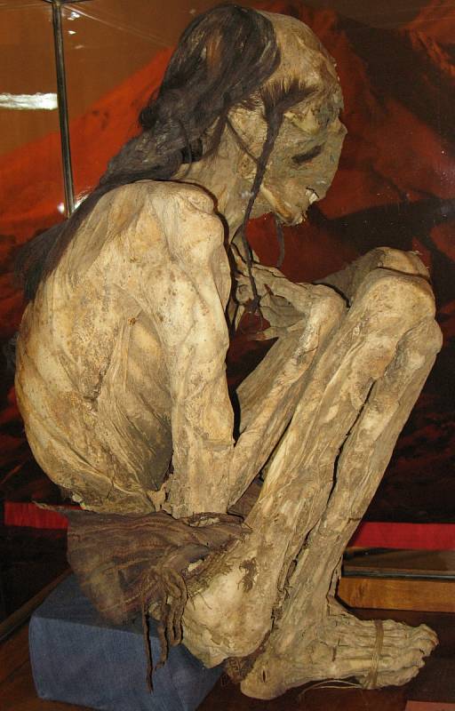 Ženská mumie v podřepu, pocházející z hornaté střední části pouště Atacama (jižní Peru, Chile). Mumii ze sbírek Muzea lékařských dějin Philippsovy univerzity v Marburgu ukázala výstava Poklady And – chilská měď pro svět Německého hornického muzea v Bochum