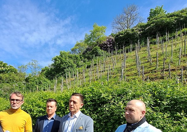 Prezident Svazu vinařů Martin Chlad a někteří krajští radní včetně hejtmana Jana Grolicha v úterý dopoledne v Brně podepsali petici proti zavedení spotřební daně na tichá vína.