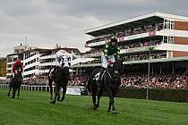 Vítěz 135. Velké pardubické Stumptown