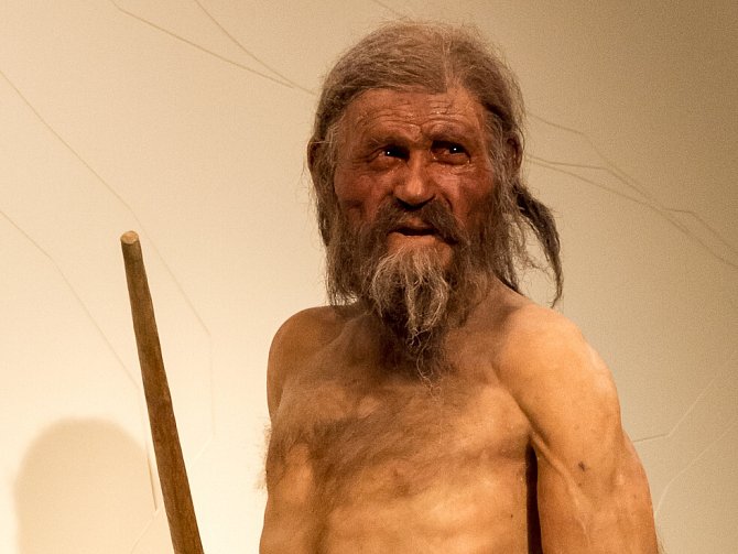 Realistická rekonstrukce Ötziho podoby vystavená v Jihotyrolském archeologickém muzeum v Bolzanu.
