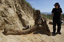 V Makedonii objevili fosílie předka mamuta