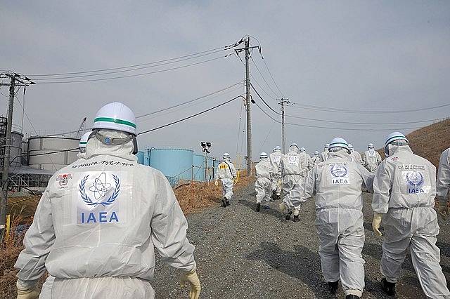 Tým sledoval hady v oblasti, kde došlo k havárii jaderné elektrárny Fukušima, ilustrační foto