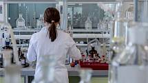 Českých vědkyň je přibližně 47 procent z celkového množství vědců, nejvíce pracují v lékařských oborech, sociálních, humanitních a zemědělských vědách.