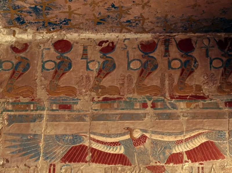Egypťané uctívali desítky ptáků