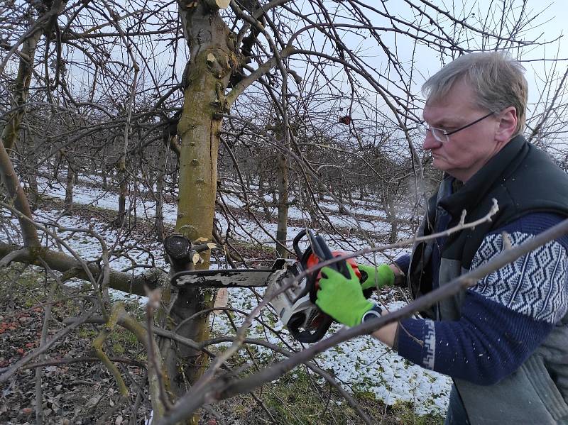 K ovocnářskému hřbitovu přirovnal předseda Ovocnářské unie Martin Ludvík situaci na své rodinné farmě, kde musí zlikvidovat několik tisíc jabloní. V Česku pak podle něj zmizí za pár měsíců přes dva tisíce hektarů ovocných sadů