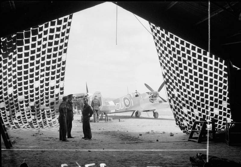 Stíhací letoun Spitfire Spitfire LF Mk. IXB 313. stíhací perutě