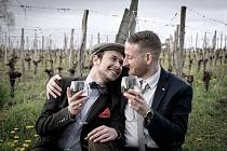 Manželství stejnopohlavních párů v Česku má poměrně velkou skupinu odpůrců, jedním z nich je prezident Miloš Zeman