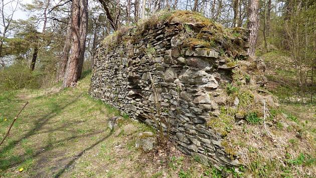 Pozůstatky hradeb hrádku Křikava jsou téměř dva metry vysoké