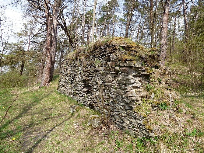 Pozůstatky hradeb hrádku Křikava jsou téměř dva metry vysoké