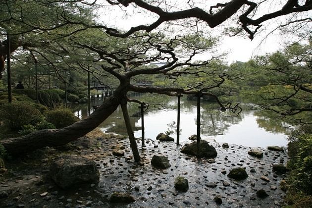 Od úterý 21. srpna 2012 mohou návštěvníci Buddha-Baru spatřit snímky Václava Wiesnera. Výstava nese název Genius loci japonských zahrad. 