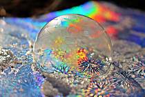 Bubliny