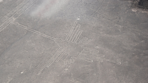Zobrazují obrazce Nazca exotické ptáky?