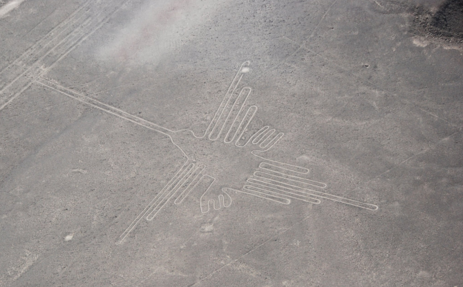 Zobrazují obrazce Nazca exotické ptáky?
