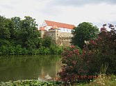 Krásný park u zámku v Horšovském Týně