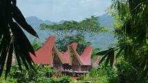 Tradiční obydlí Torajů se nazývá tongkonan