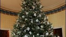 Do studených tónů byl oficiální vánoční stromek Bílého domu v Modrém pokoji laděn v roce 2005, pod taktovkou Laury Bushové.