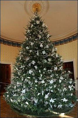 Do studených tónů byl oficiální vánoční stromek Bílého domu v Modrém pokoji laděn v roce 2005, pod taktovkou Laury Bushové.