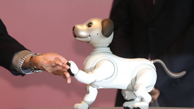 Japonsko představilo psího robota. Má umělou inteligenci a připojení k wifi  - Deník.cz