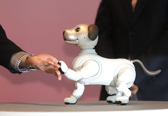 Nový japonský robot - pes Aibo