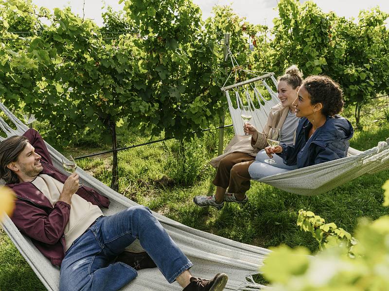 Vinařská turistika v údolí Dunaje. Světově známá oblast Wachau a sousední vinařské městečko Langelois lákají návštěvníky z Česka.