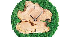 Populární mechové dekorace tentokrát netradičně: sobí mech se stal součástí nástěnných hodin z meruňkového dřeva. Originální hlídač času pochází z dílny značky Aninka772