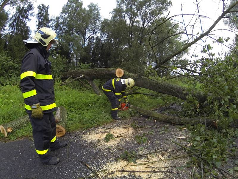 Spadlý strom rozřezali a z cesty odklidili havířovští hasiči. 