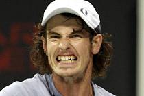 Andy Murray se reduje z vítězství v Kataru.