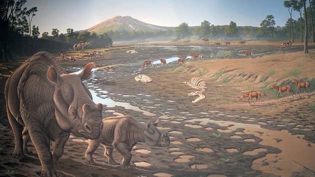 Velké množství fosilií pravěkých savců se našlo v lomu Hancock Mammal Quarry. Jde například o haplohippa – malého tříprstého koně, nebo o brontotheres – zvíře podobné nososrožcům, či o acheanodony – medvědovitá zvířata podobná dnešním prasatům