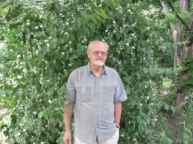 „S výjimkou žampionů lze pěstovat téměř výhradně jen dřevní houby,“ vysvětluje ing. Ivan Jablonský. „Nevěřte podnikavcům, kteří nabízejí třeba sadbu hřibů!“